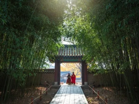 Những lưu ý trước khi du lịch Hàn Quốc mùa Xuân Hè