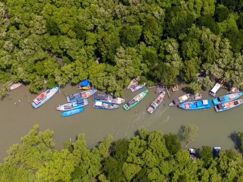 Chơi gì ở Cần Giờ dịp 30/4-1/5