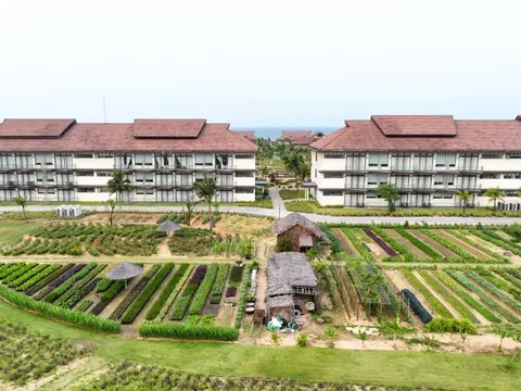 Resort ở Quảng Nam tự trồng rau phục vụ bữa ăn cho du khách