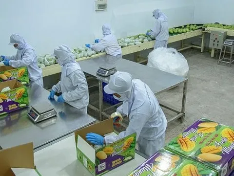 Nhiều lễ hội dịp 30/4 ở miền Tây