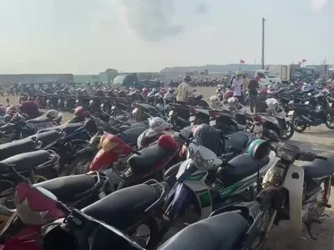 Đảo Phú Quý 'đông chưa từng thấy'