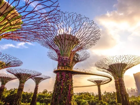 Một ngày khám phá vẻ đẹp ẩn mình của Singapore