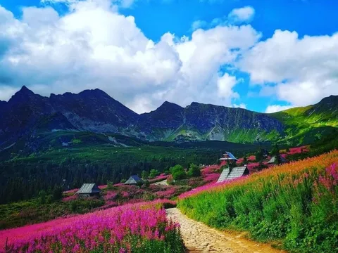 6 điểm ngắm hoa ít người biết ở châu Âu