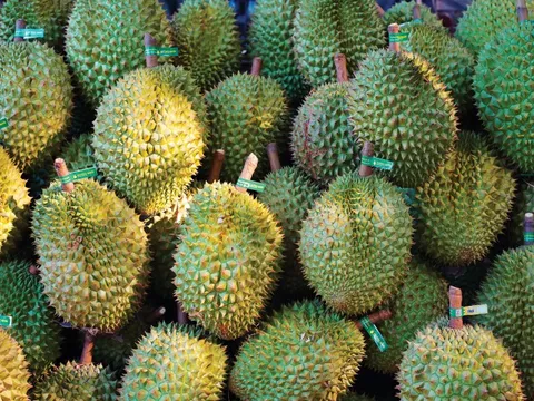 Những điều ít người biết về trái cây chính vụ