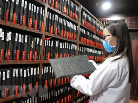 Bảo tồn thành công mộc bản triều Nguyễn