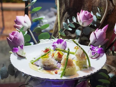 42 món ngon từ yến sào