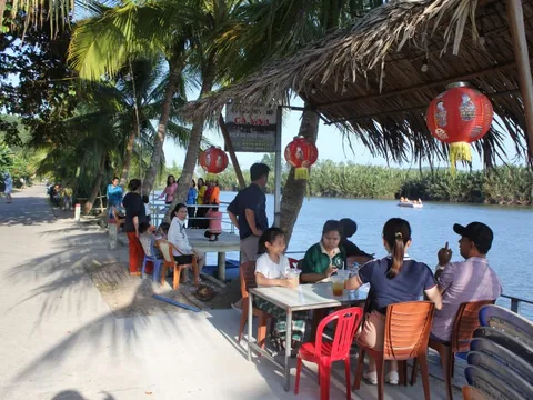 Dạo chơi trong rừng dừa Cà Ninh