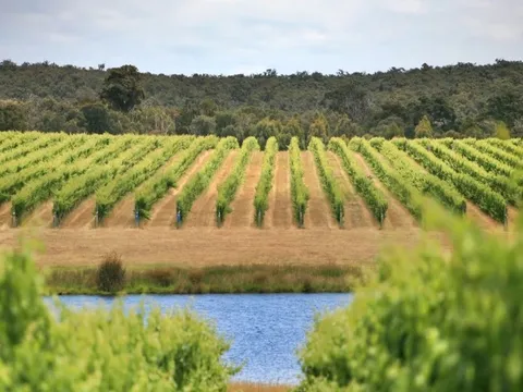 Australia có nhiều rượu vang ngon nhất thế giới