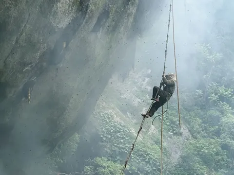 Hành trình săn mật loài ong lớn nhất thế giới ở Nepal