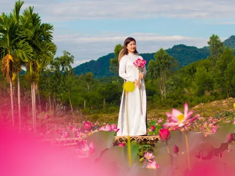 Check-in bên đầm sen ở Quảng Nam