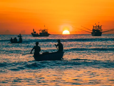 Chợ cá lớn nhất Quảng Nam lúc sáng sớm