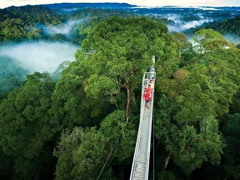6 khu rừng mưa đẹp nhất thế giới