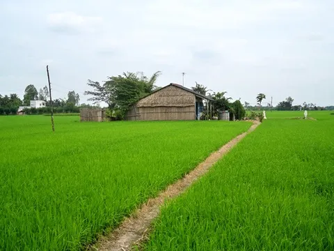 Khi viết về vùng đất quê tôi