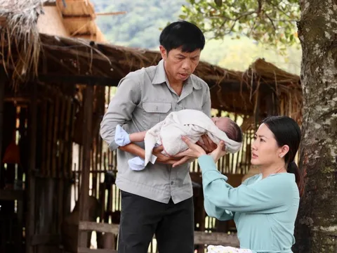 Đề cử giải Mai Vàng lần thứ 29 hạng mục phim truyền hình: Chân thật và gần gũi!