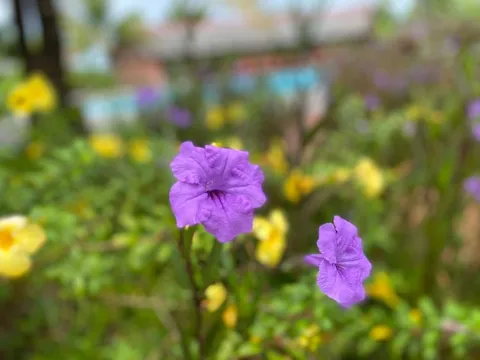 Tháng 10 cho "nửa yêu thương"