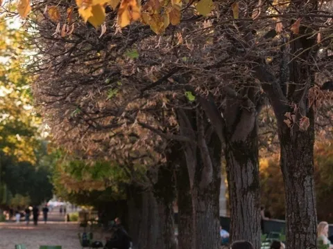 8 địa điểm ngắm lá vàng lá đỏ mùa thu ở Paris