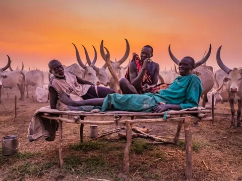 Bộ lạc có truyền thống rạch mặt, tôn thờ bò