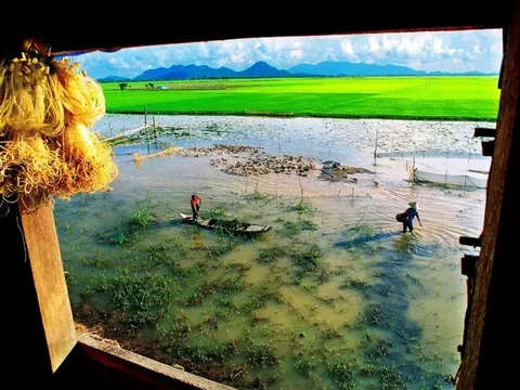 Triển lãm "Bức tranh quê" của Hoàng Thạch Vân