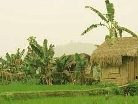 Phần đời của tuổi thơ tôi