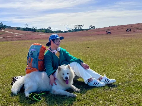 Tới đồi cỏ Masara nhanh kẻo lỡ mùa cỏ hồng rực rỡ nhất