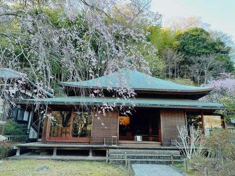 Bạn đã tới 'Chùa cắt duyên' ở Kamakura chưa?