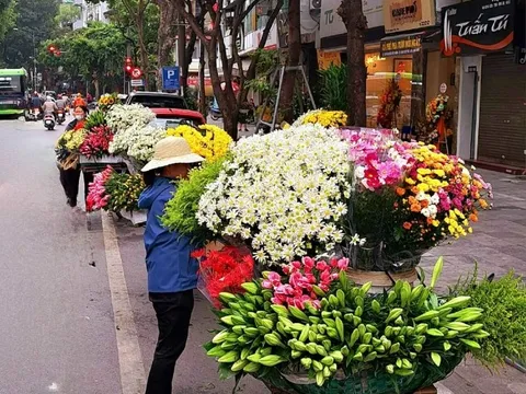 Khách Tây hai năm đến Hà Nội 4 lần vì yêu