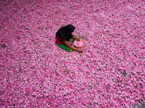 Điều ít người biết về 'kinh đô nước hoa' của Ấn Độ