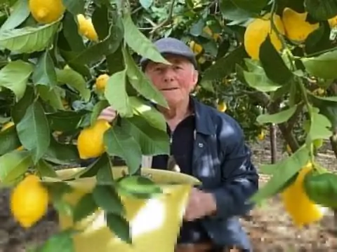 Đặc sản ít người biết của Amalfi