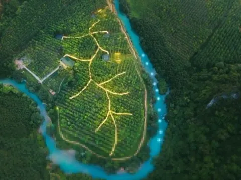 Khu cắm trại hướng đến mục tiêu Net Zero đầu tiên ở Việt Nam