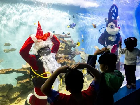 Ông già Noel bụng quấn chì, đeo bình dưỡng khí ở Nha Trang