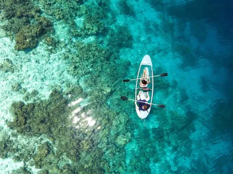 Năm mới đi đâu?