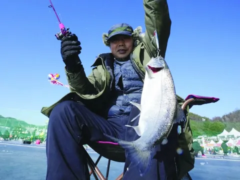 Du khách đổ xô câu cá hồi 'siêu sạch' ở Hwacheon