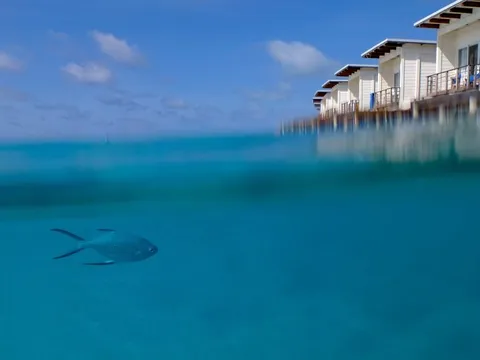 Maldives trả giá đắt