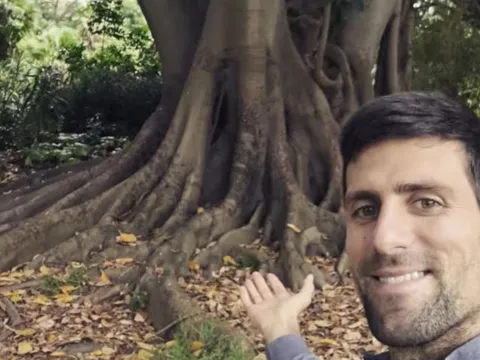 Bất ngờ gây sốt vì 'mối quan hệ đặc biệt' với Djokovic