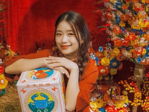 Hoa giấy Thanh Tiên 'phủ sóng' quán bar, tiệm cà phê