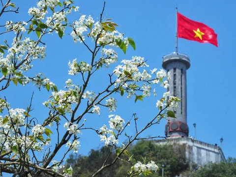 Muôn hoa khoe sắc ở Hà Giang