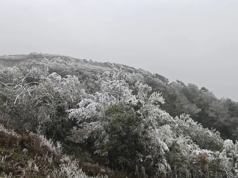 Phượt xe máy hơn 200 km lên đỉnh Mẫu Sơn săn băng