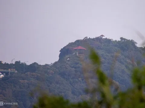 Tỷ phú Bill Gates thưởng trà trên đỉnh Bàn Cờ