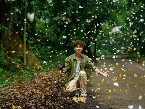 Cảnh tượng đẹp sững sờ tại rừng Cúc Phương mùa săn bướm