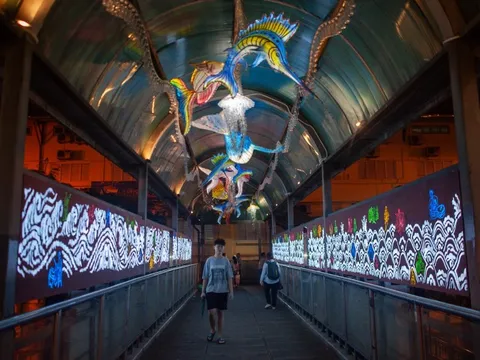 Mãn nhãn với cầu đi bộ 'thủy cung' độc nhất ở Hà Nội