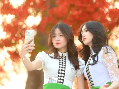 Check-in 'nửa ngày chưa hết góc đẹp' với cây phượng đỏ rực ở Điện Biên