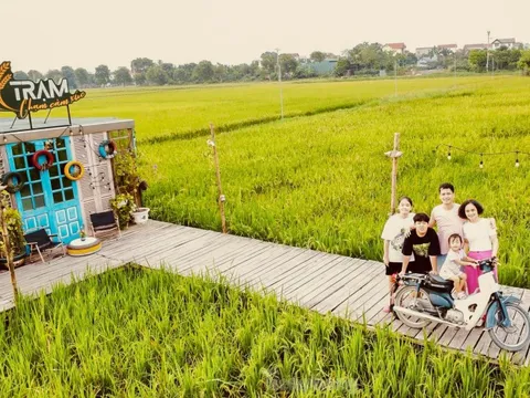 Quán cà phê giữa cánh đồng lúa chín ở ngoại ô Hà Nội thu hút giới trẻ