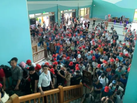 Khách đến Cát Bà đông chưa từng có