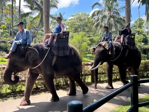 Tranh cãi voi thích được cưỡi tại Bali