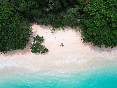 12 ngày làm tình nguyện bảo vệ rùa đẻ ở Côn Đảo