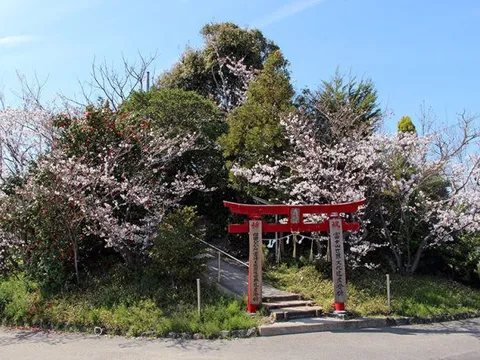 Núi cao hơn 6 m ở Nhật Bản hút khách du lịch