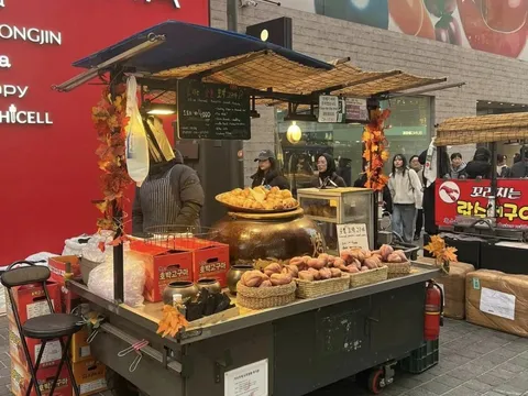Thế giới đồ ăn vặt đường phố ở Seoul