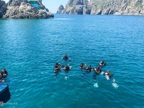 Lặn ngắm san hô, khám phá đáy vịnh Nha Trang