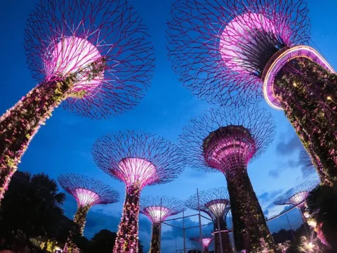 Gợi ý lịch trình nghỉ hè từ ngày đến đêm tại Singapore
