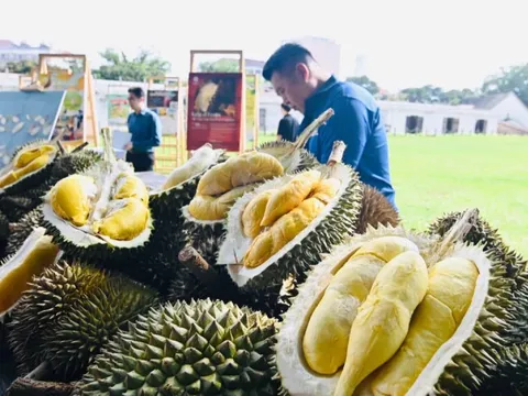 Lễ hội sầu riêng Penang